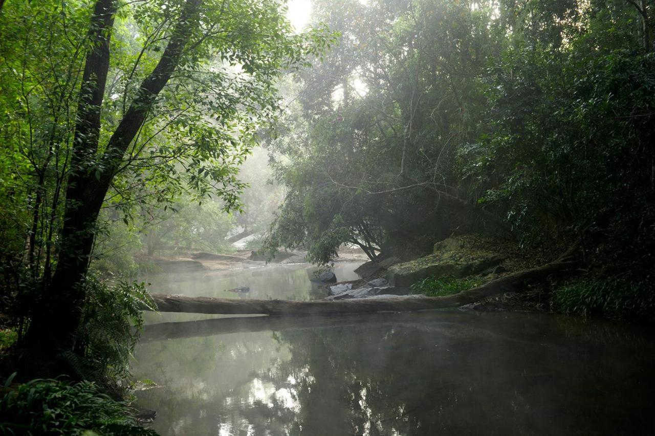 Amanvana Spa Resort, Coorg Kushālnagar Kültér fotó