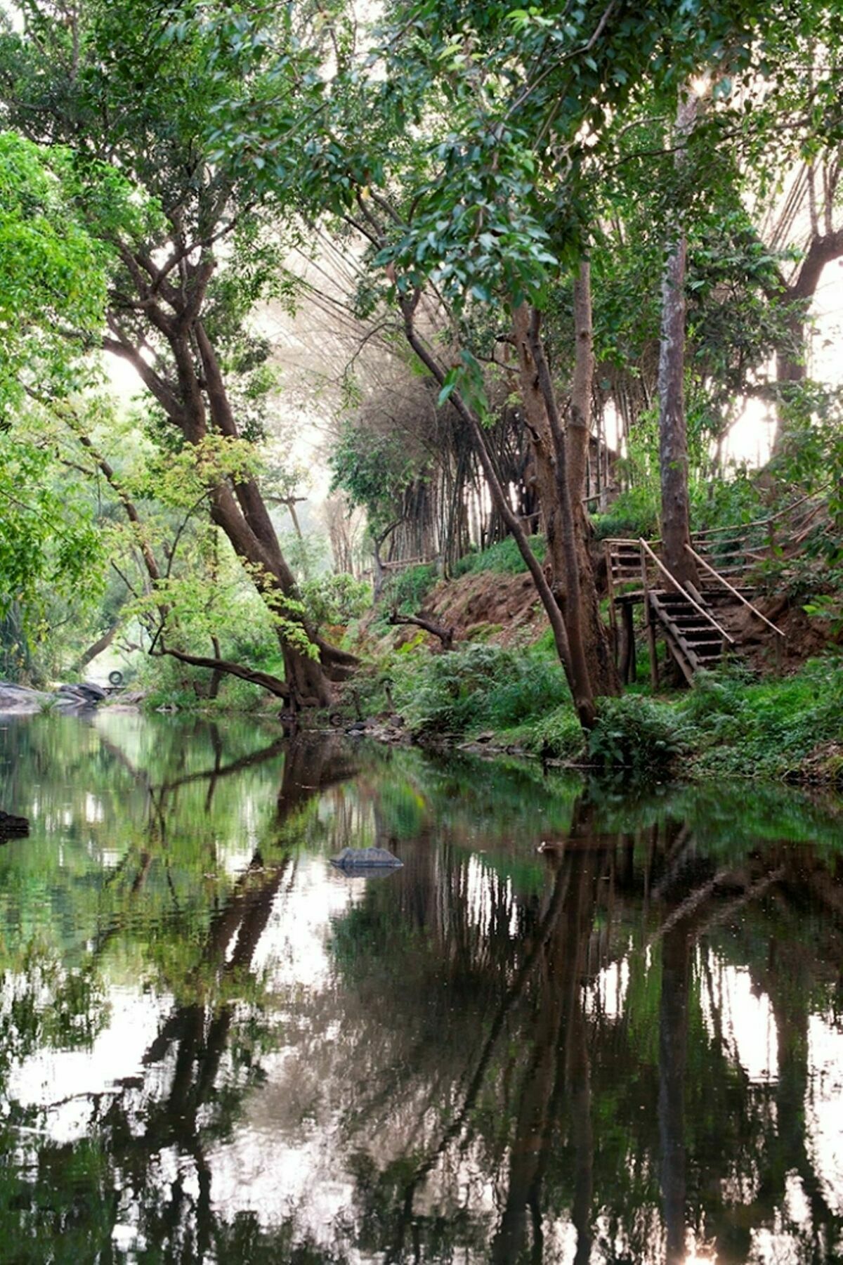 Amanvana Spa Resort, Coorg Kushālnagar Kültér fotó