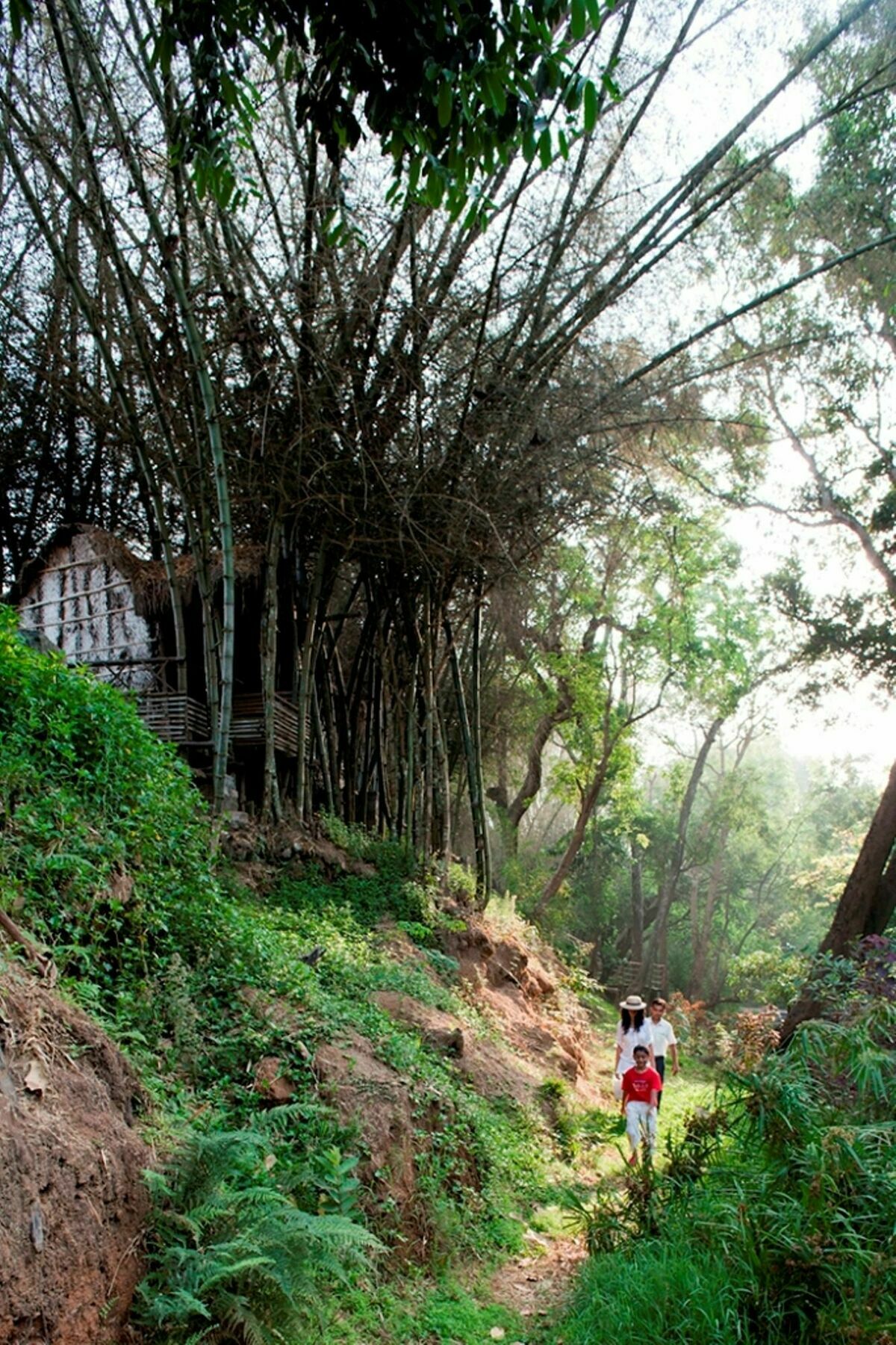 Amanvana Spa Resort, Coorg Kushālnagar Kültér fotó