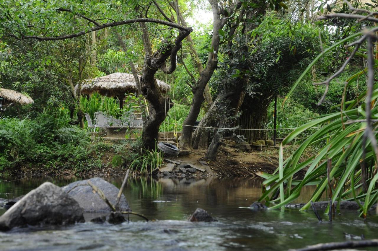 Amanvana Spa Resort, Coorg Kushālnagar Kültér fotó