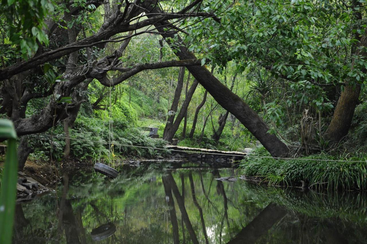Amanvana Spa Resort, Coorg Kushālnagar Kültér fotó